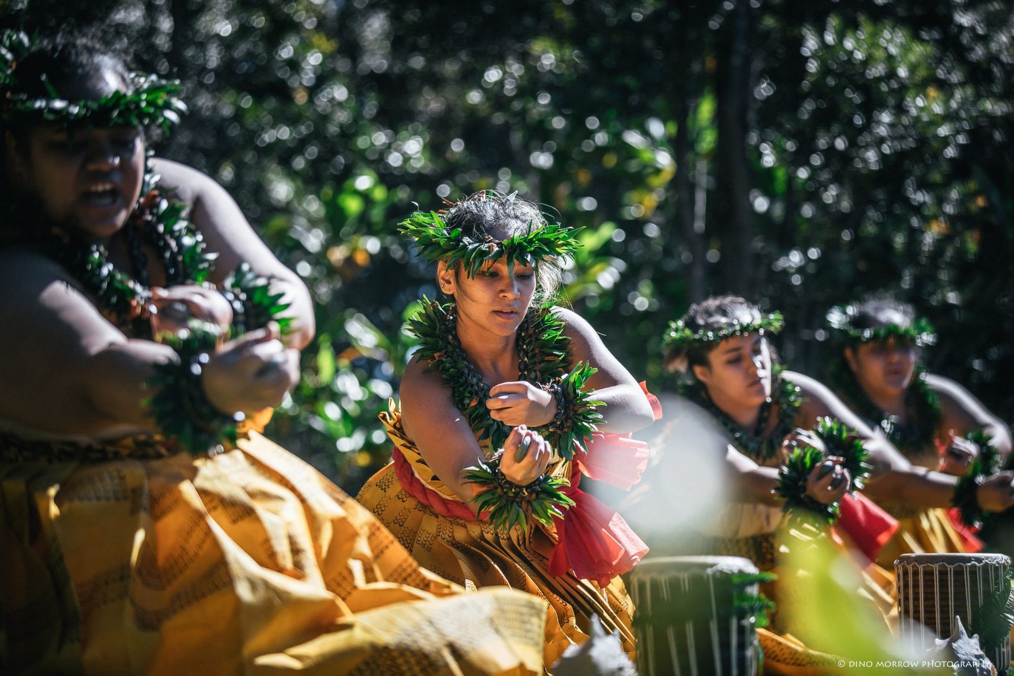 Our Annual Presentation at Kaʻauea, Winter Solstice, 2018